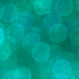 Bokeh-445
